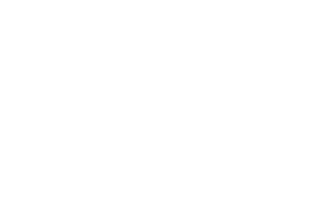 More Detail Dosimetry Publications   1D SCANNER page   Reference Ion Chambers page   Solid Water  HE page   