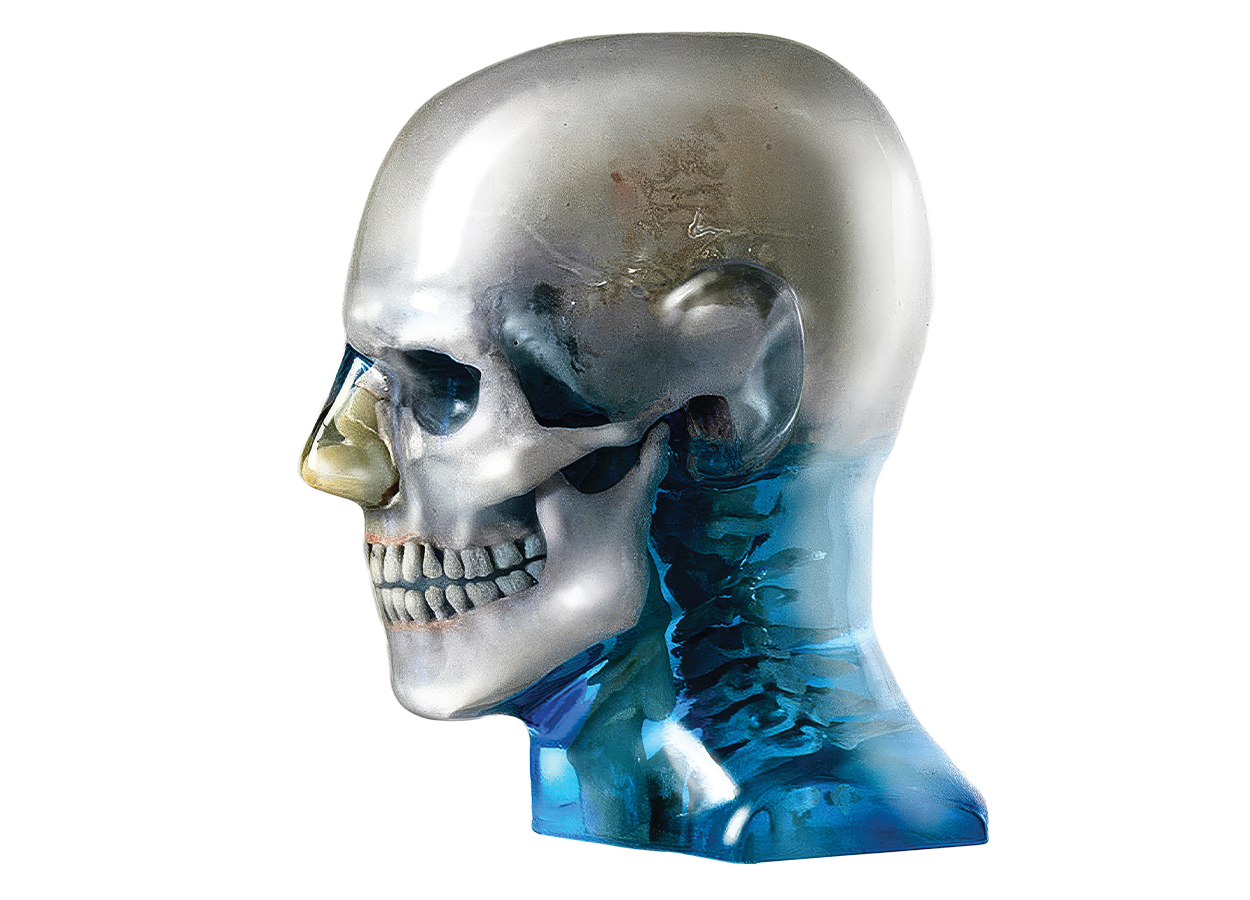 Dental and Diagnostic Head
